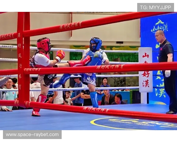 拳击运动进校园项目扩展，青少年拳击培训体系逐步建立